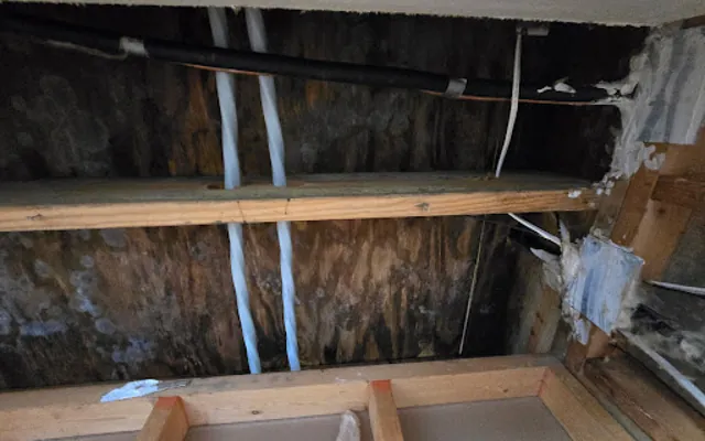 Roof Leak Water Damage in Salt Lake City, UT